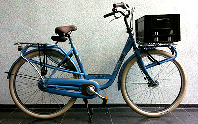 Batavus Personal Bike Special Delivery